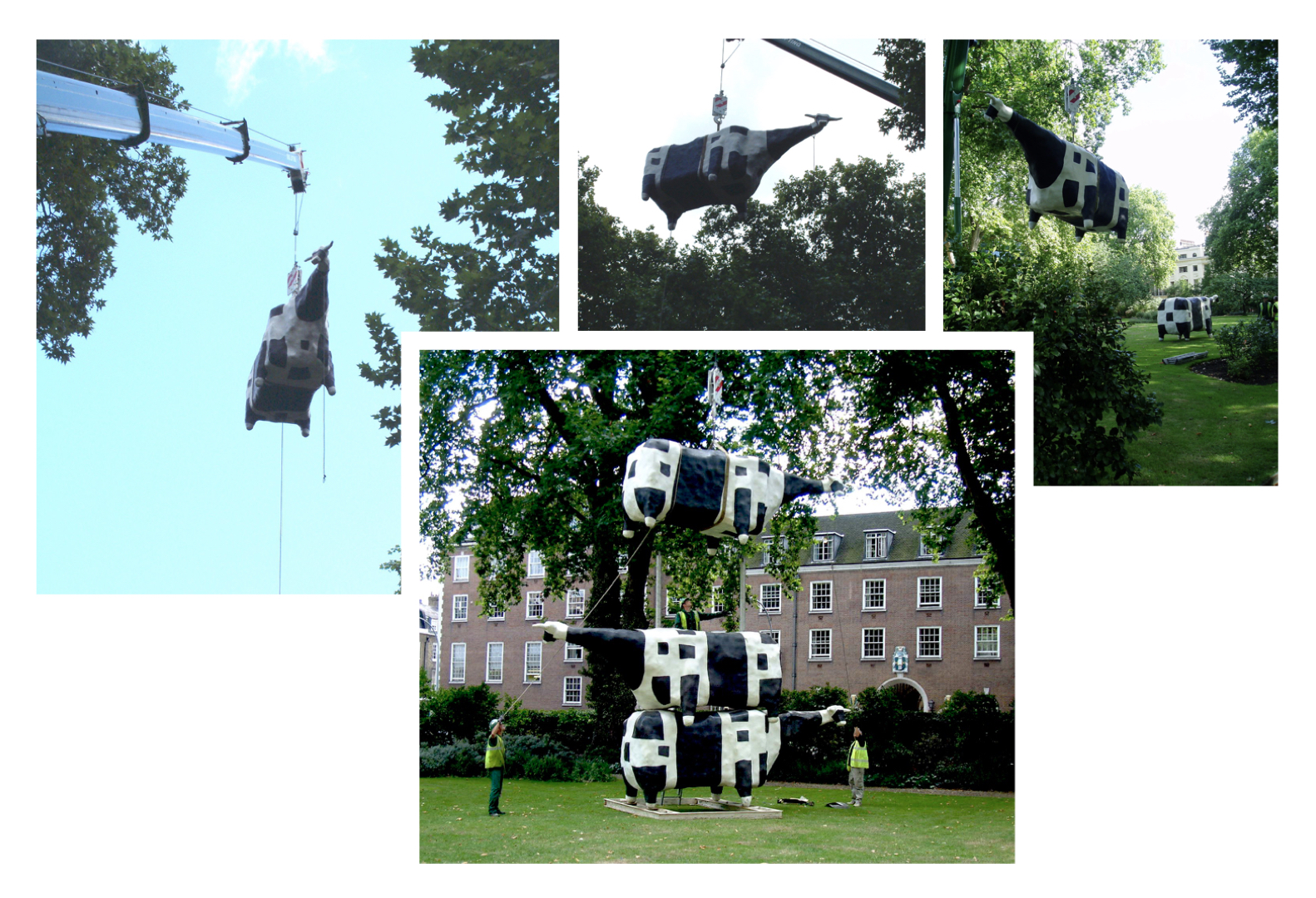John Kelly: Three Cows in a Pile, Mecklenburgh Square, London, 2005